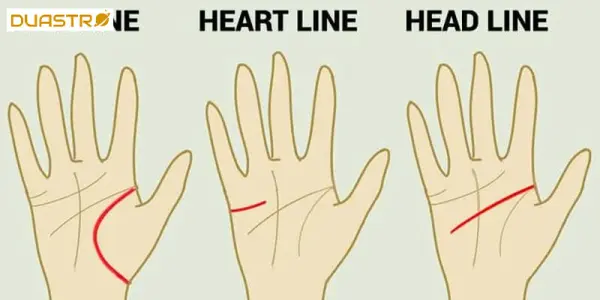 Hand Reading for Intuition
